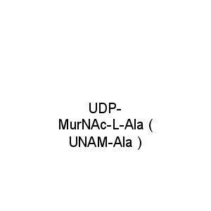 UDP-MurNAc-L-Ala ( UNAM-Ala )